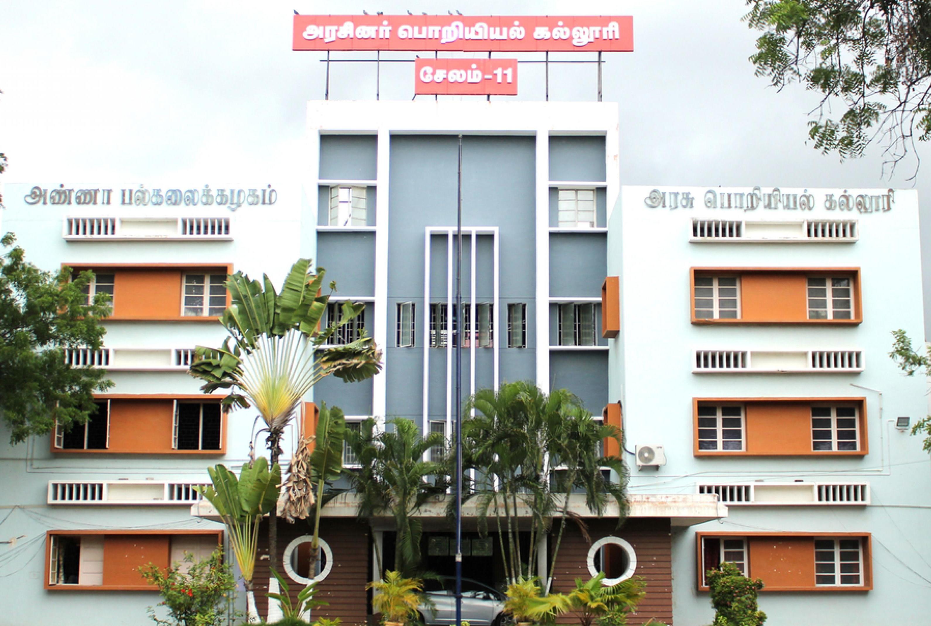 Ignite Your Potential